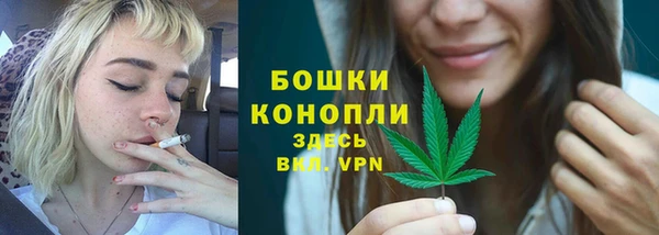 сатива Абдулино