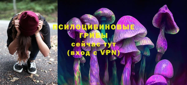 сатива Абдулино