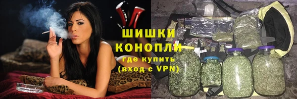 сатива Абдулино